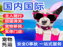 海西德令哈航空邮寄国际宠物托运 【国
